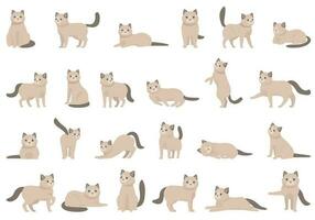 Ragdoll icons set cartoon vector. Nature animal vector