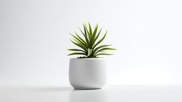 foto planta de casa en minimalista maceta para hogar decoración. generativo ai