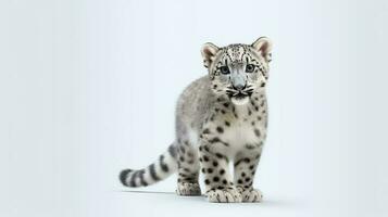 Photo of a snow leopard on white background. Generative AI