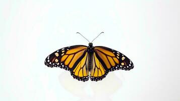 Photo of a monarch butterly on white background. Generative AI