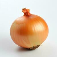 Photo of Onion isolated on white background