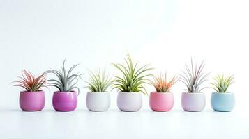 Photo of ornamental plants in minimalist pot as houseplant for home decoration isolated on white background. Generative AI