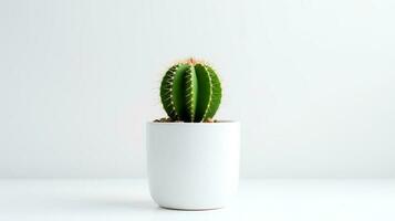 Photo of cactus in minimalist pot as houseplant for home decoration isolated on white background. Generative AI