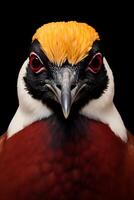 Photo of African Jacana on black background. Generative AI