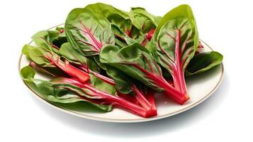 Photo of Swiss chard on plate isolated on white background