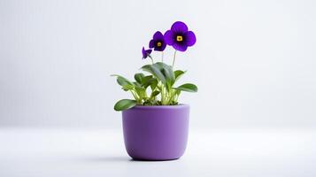 Photo of Violet flower in minimalist pot as houseplant for home decoration isolated on white background. Generative AI