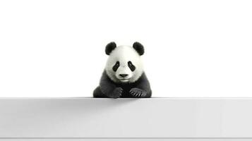 Photo of a panda on white background