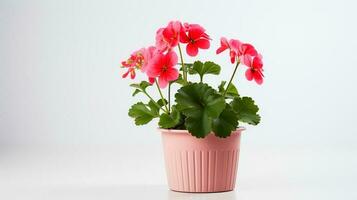 Photo of Geranium in minimalist pot as houseplant for home decoration isolated on white background. Generative AI