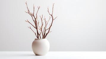 Photo of dry twigs in minimalist pot as houseplant for home decoration isolated on white background. Generative AI