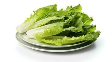 Photo of Escarole on plate isolated on white background