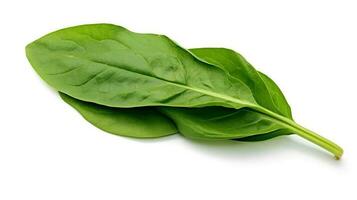 Photo of Spinach isolated on white background