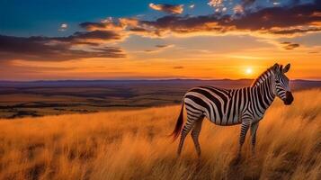 Photo of zebra on savanna at sunset. Generative AI