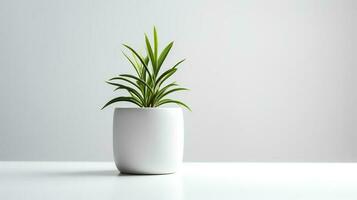 Photo houseplant in minimalist pot  for home decoration. Generative AI