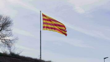 A vibrant flag fluttering in the breeze video