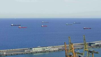 A crowded harbor with numerous boats floating on the water video