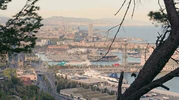 A panoramic view of a city and harbor from a scenic hilltop video