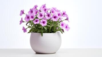 Photo of Petunia in minimalist pot as houseplant for home decoration isolated on white background. Generative AI