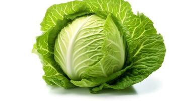 Photo of Cabbage isolated on white background