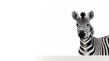 Photo of a cute zebra on white background. Created by