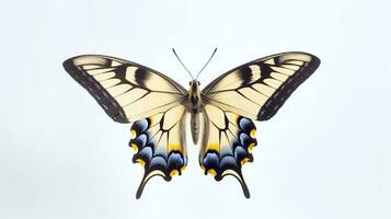 Photo of a swallowtail butterly on white background. Generative AI
