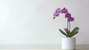 foto de orquídea en minimalista maceta como planta de casa para hogar decoración aislado en blanco antecedentes. generativo ai