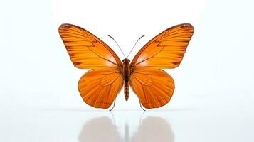 Photo of a julia butterly on white background. Generative AI