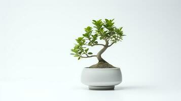 Photo of bonsai in minimalist pot as houseplant for home decoration isolated on white background. Generative AI