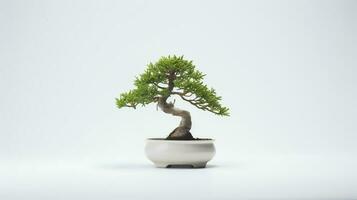 Photo of bonsai in minimalist pot as houseplant for home decoration isolated on white background. Generative AI