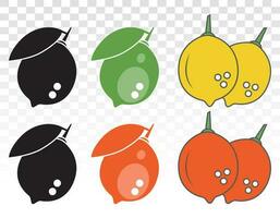 Set of citrus lemon fruit flat color icon for apps and websites vector