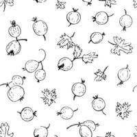 Monochrome seamless pattern with doolde gooseberry berries. Perfect print for tee, paper, textile and fabric. vector