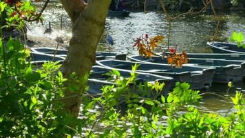 Boote schwimmen im Wasser video