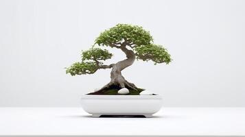 Photo of bonsai in minimalist pot as houseplant for home decoration isolated on white background. Generative AI