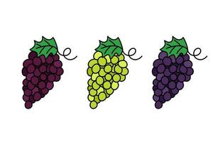 Grape bunch doodles set. Wine and table grapes clusters. Various elements isolated. Vector outline illustration. Hand drawn cute doodles