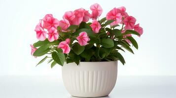 Photo of Impatiens flowers in minimalist pot as houseplant for home decoration isolated on white background. Generative AI