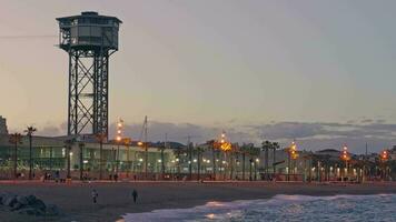 uma pitoresco de praia com uma majestoso torre negligenciar a grande oceano video