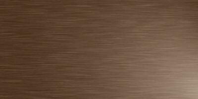 wood texture background and isolated with light. vector