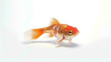 Photo of a kohaku koi on white background. Generative AI