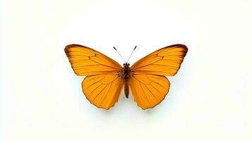 Photo of a monarch butterly on white background. Generative AI