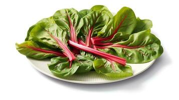 Photo of Swiss chard on plate isolated on white background