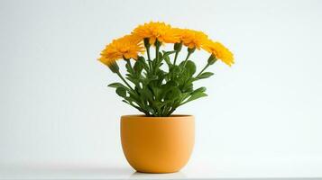 Photo of marigold in minimalist pot as houseplant for home decoration isolated on white background. Generative AI