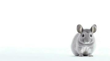 Photo of a chinchilla on white background. Generative AI