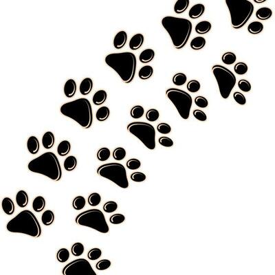 Dog or cat footprint icon on a white background