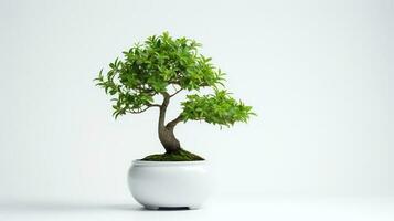 Photo of bonsai in minimalist pot as houseplant for home decoration isolated on white background. Generative AI