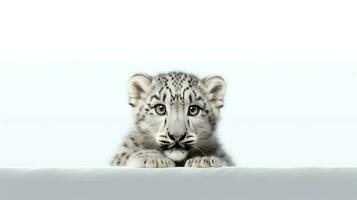 Photo of a snow leopard on white background. Generative AI