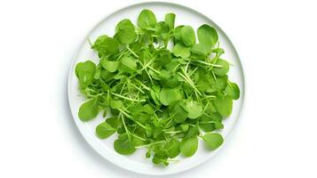 Photo of Watercress on plate isolated on white background