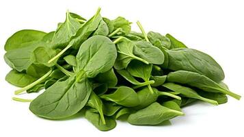 Photo of Spinach isolated on white background