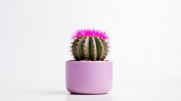 Photo of Hedgehog in minimalist pot as houseplant for home decoration isolated on white background. Generative AI