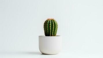 foto de cactus en minimalista maceta como planta de casa para hogar decoración aislado en blanco antecedentes. generativo ai