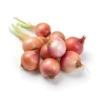 Photo of Shallots isolated on white background