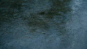 pluie chute à le sol, 4k métrage video